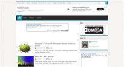 Desktop Screenshot of fianstudio.com